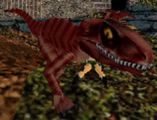 Velociraptor