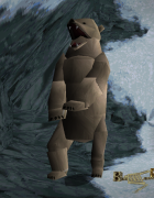 Orso Polare