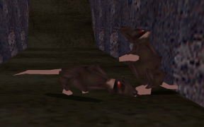 Ratto