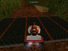 Quad Bike