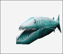 Barracuda