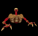 Torso TR1
