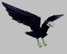 Corvo
