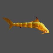 Pesce gatto giallo