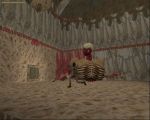 Torso TR1